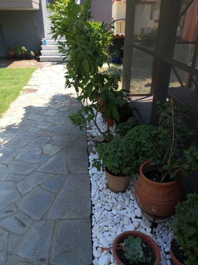 Menta Apartment Nea Iraklitsa Exteriér fotografie